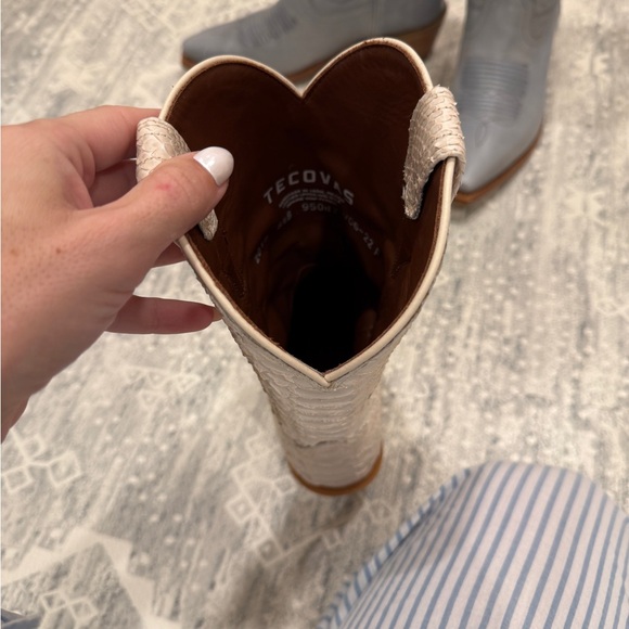 Tecova Savannah Bone Python size 8.5 - Picture 7 of 12